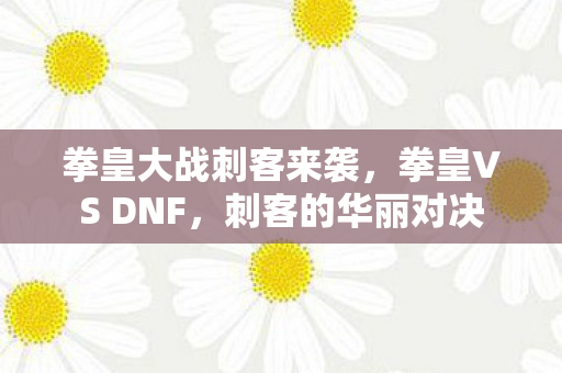 拳皇大战刺客来袭，拳皇VS DNF，刺客的华丽对决