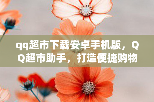 qq超市下载安卓手机版，QQ超市助手，打造便捷购物新体验