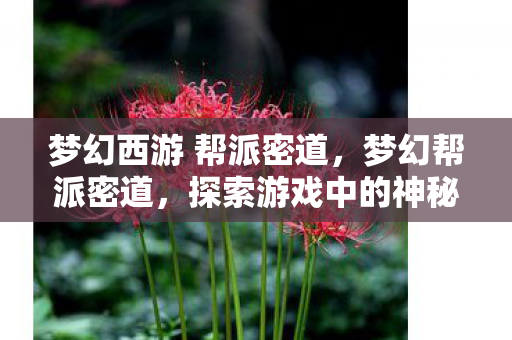 梦幻西游 帮派密道,梦幻帮派密道,探索游戏中的神秘组织 梦幻西游 帮派密道,梦幻帮派密道,探索游戏中的神秘组织