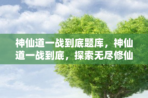 神仙道一战到底题库，神仙道一战到底，探索无尽修仙之旅