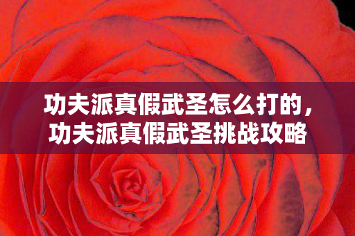 功夫派真假武圣怎么打的,功夫派真假武圣挑战攻略 功夫派真假武圣怎么打的,功夫派真假武圣挑战攻略