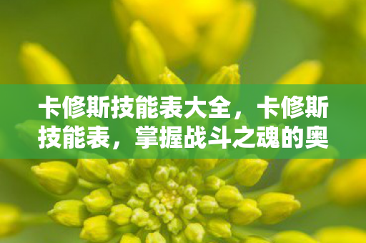 卡修斯技能表大全,卡修斯技能表,掌握战斗之魂的奥秘 卡修斯技能表大全,卡修斯技能表,掌握战斗之魂的奥秘