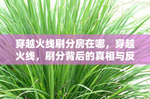 穿越火线刷分房在哪,穿越火线,刷分背后的真相与反思 穿越火线刷分房在哪,穿越火线,刷分背后的真相与反思