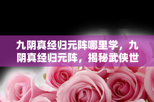 九阴真经归元阵哪里学,九阴真经归元阵,揭秘武侠世界的神秘阵法 九阴真经归元阵哪里学,九阴真经归元阵,揭秘武侠世界的神秘阵法
