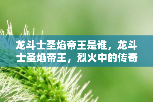龙斗士圣焰帝王是谁,龙斗士圣焰帝王,烈火中的传奇 龙斗士圣焰帝王是谁,龙斗士圣焰帝王,烈火中的传奇