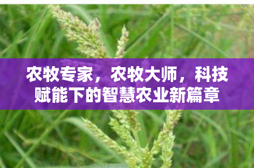 农牧专家,农牧大师,科技赋能下的智慧农业新篇章 农牧专家,农牧大师,科技赋能下的智慧农业新篇章
