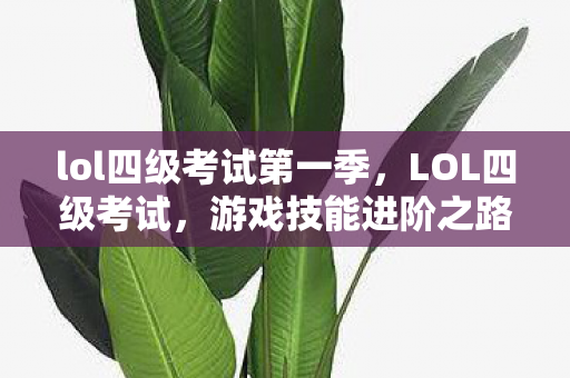 lol四级考试第一季，LOL四级考试，游戏技能进阶之路