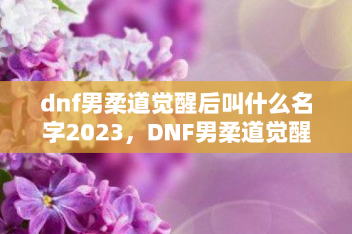 dnf男柔道觉醒后叫什么名字2023，DNF男柔道觉醒，掌握新技能，挑战更高境界