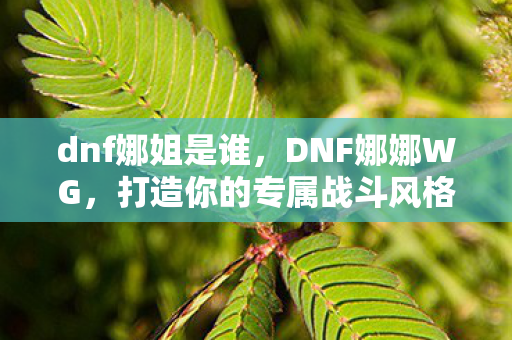dnf娜姐是谁,DNF娜娜WG,打造你的专属战斗风格 dnf娜姐是谁,DNF娜娜WG,打造你的专属战斗风格