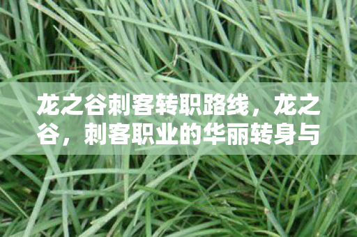 龙之谷刺客转职路线，龙之谷，刺客职业的华丽转身与深度解析