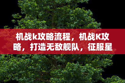 机战k攻略流程,机战K攻略,打造无敌舰队,征服星辰大海 机战k攻略流程,机战K攻略,打造无敌舰队,征服星辰大海