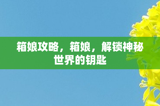 箱娘攻略,箱娘,解锁神秘世界的钥匙 箱娘攻略,箱娘,解锁神秘世界的钥匙