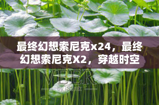 最终幻想索尼克x24，最终幻想索尼克X2，穿越时空的冒险之旅