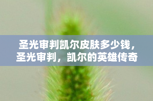 圣光审判凯尔皮肤多少钱,圣光审判,凯尔的英雄传奇 圣光审判凯尔皮肤多少钱,圣光审判,凯尔的英雄传奇