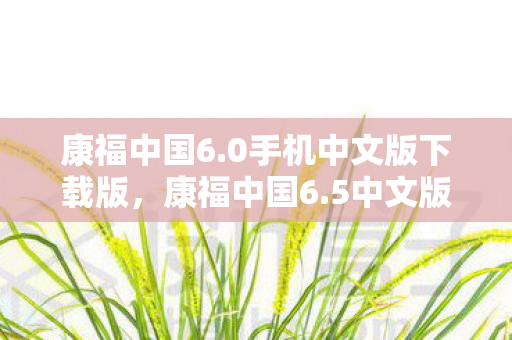 康福中国6.0手机中文版下载版，康福中国6.5中文版下载，解锁高效学习新体验