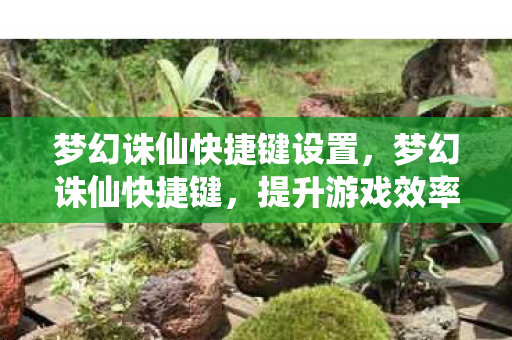 梦幻诛仙快捷键设置，梦幻诛仙快捷键，提升游戏效率与体验的关键