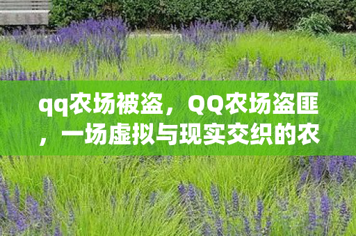qq农场被盗，QQ农场盗匪，一场虚拟与现实交织的农业冒险