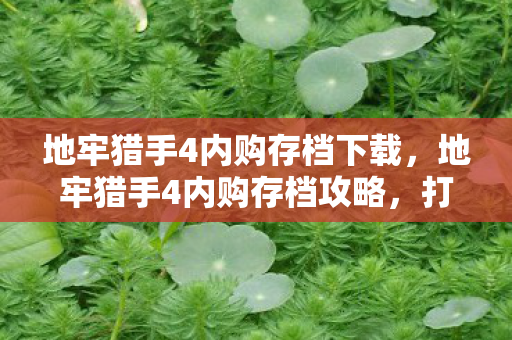 地牢猎手4内购存档下载，地牢猎手4内购存档攻略，打造最强角色的秘密