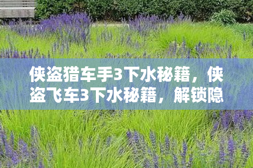 侠盗猎车手3下水秘籍，侠盗飞车3下水秘籍，解锁隐藏技能，畅游自由世界