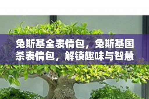 兔斯基全表情包，兔斯基国杀表情包，解锁趣味与智慧的双重乐趣
