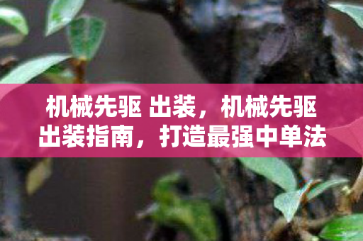机械先驱 出装,机械先驱出装指南,打造最强中单法师 机械先驱 出装,机械先驱出装指南,打造最强中单法师