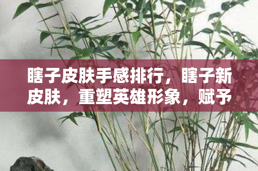 瞎子皮肤手感排行，瞎子新皮肤，重塑英雄形象，赋予独特魅力