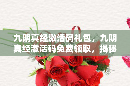 九阴真经激活码礼包，九阴真经激活码免费领取，揭秘游戏界的神秘宝藏
