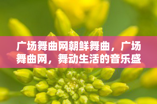 广场舞曲网朝鲜舞曲，广场舞曲网，舞动生活的音乐盛宴