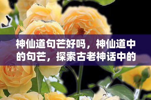 神仙道句芒好吗，神仙道中的句芒，探索古老神话中的自然之神