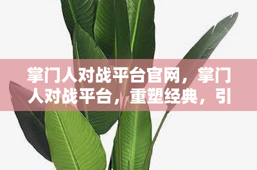 掌门人对战平台官网，掌门人对战平台，重塑经典，引领游戏新风尚