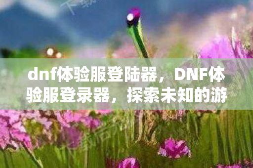 dnf体验服登陆器图片
