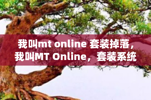 我叫mt online 套装掉落，我叫MT Online，套装系统深度解析