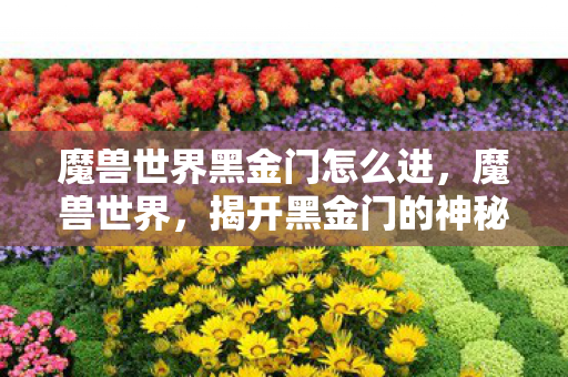 魔兽世界黑金门怎么进,魔兽世界,揭开黑金门的神秘面纱 魔兽世界黑金门怎么进,魔兽世界,揭开黑金门的神秘面纱