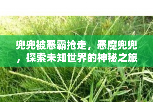 兜兜被恶霸抢走,恶魔兜兜,探索未知世界的神秘之旅 兜兜被恶霸抢走,恶魔兜兜,探索未知世界的神秘之旅