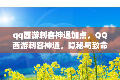 qq西游刺客神通加点,QQ西游刺客神通,隐秘与致命的艺术 qq西游刺客神通加点,QQ西游刺客神通,隐秘与致命的艺术
