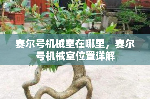 赛尔号机械室在哪里，赛尔号机械室位置详解