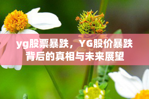 yg股票暴跌，YG股价暴跌背后的真相与未来展望