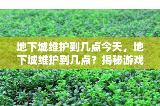 地下城维护到几点今天,地下城维护到几点?揭秘游戏维护的奥秘 地下城维护到几点今天,地下城维护到几点?揭秘游戏维护的奥秘