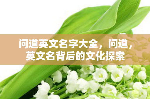 问道英文名字大全，问道，英文名背后的文化探索