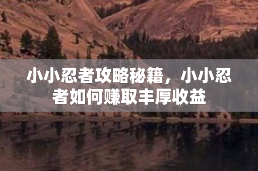 小小忍者攻略秘籍，小小忍者如何赚取丰厚收益