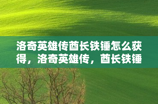 洛奇英雄传酋长铁锤怎么获得，洛奇英雄传，酋长铁锤的传奇故事