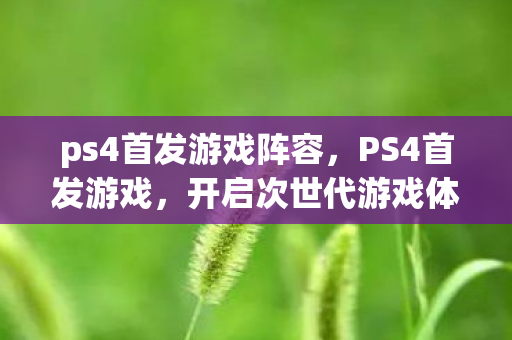 ps4首发游戏阵容，PS4首发游戏，开启次世代游戏体验的钥匙