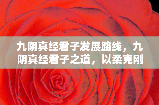 九阴真经君子发展路线，九阴真经君子之道，以柔克刚，以德服人