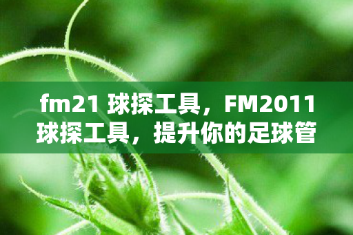 fm21 球探工具,FM2011球探工具,提升你的足球管理游戏体验 fm21 球探工具,FM2011球探工具,提升你的足球管理游戏体验