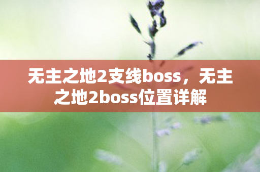 无主之地2支线boss，无主之地2boss位置详解