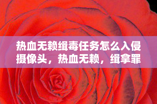 热血无赖缉毒任务怎么入侵摄像头,热血无赖,缉拿罪恶,守护正义 热血无赖缉毒任务怎么入侵摄像头,热血无赖,缉拿罪恶,守护正义