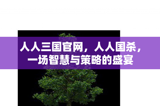 人人三国官网,人人国杀,一场智慧与策略的盛宴 人人三国官网,人人国杀,一场智慧与策略的盛宴