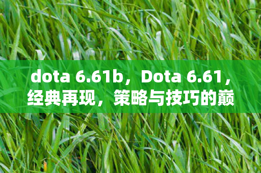 dota 6.61b，Dota 6.61，经典再现，策略与技巧的巅峰对决