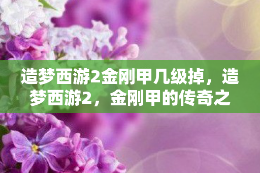 造梦西游2金刚甲几级掉，造梦西游2，金刚甲的传奇之旅