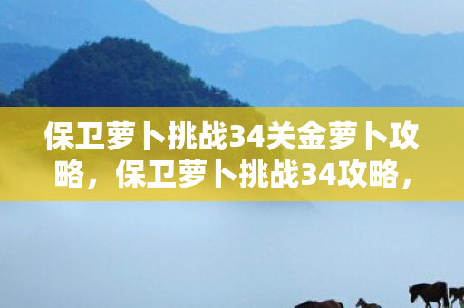 保卫萝卜挑战34关金萝卜攻略,保卫萝卜挑战34攻略,金萝卜布阵图详解 保卫萝卜挑战34关金萝卜攻略,保卫萝卜挑战34攻略,金萝卜布阵图详解